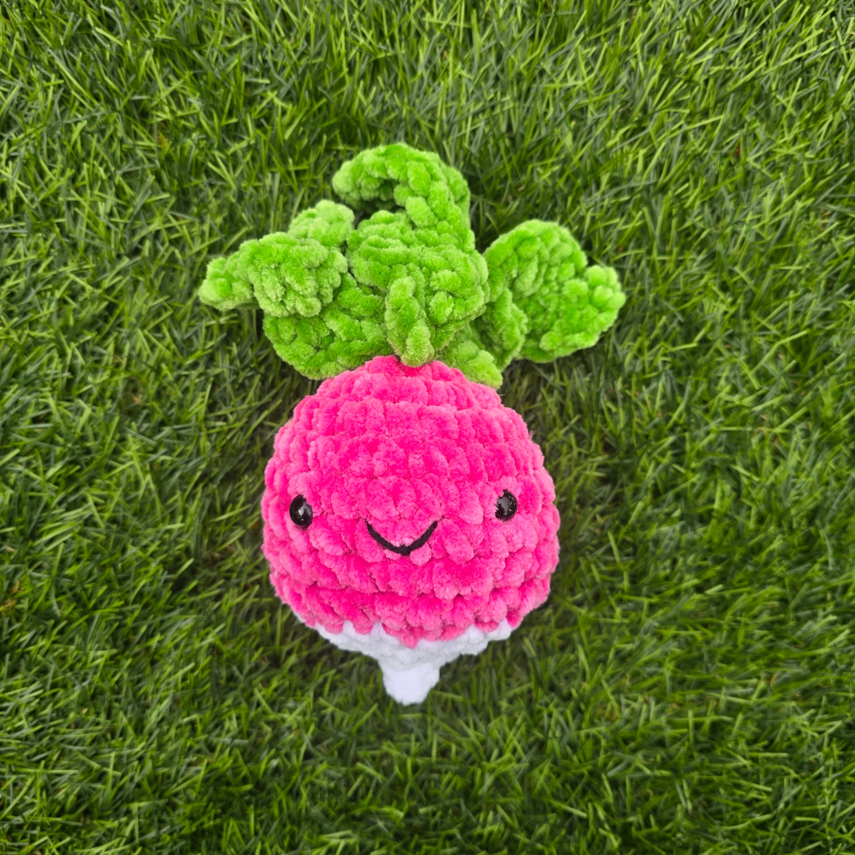 Radish
