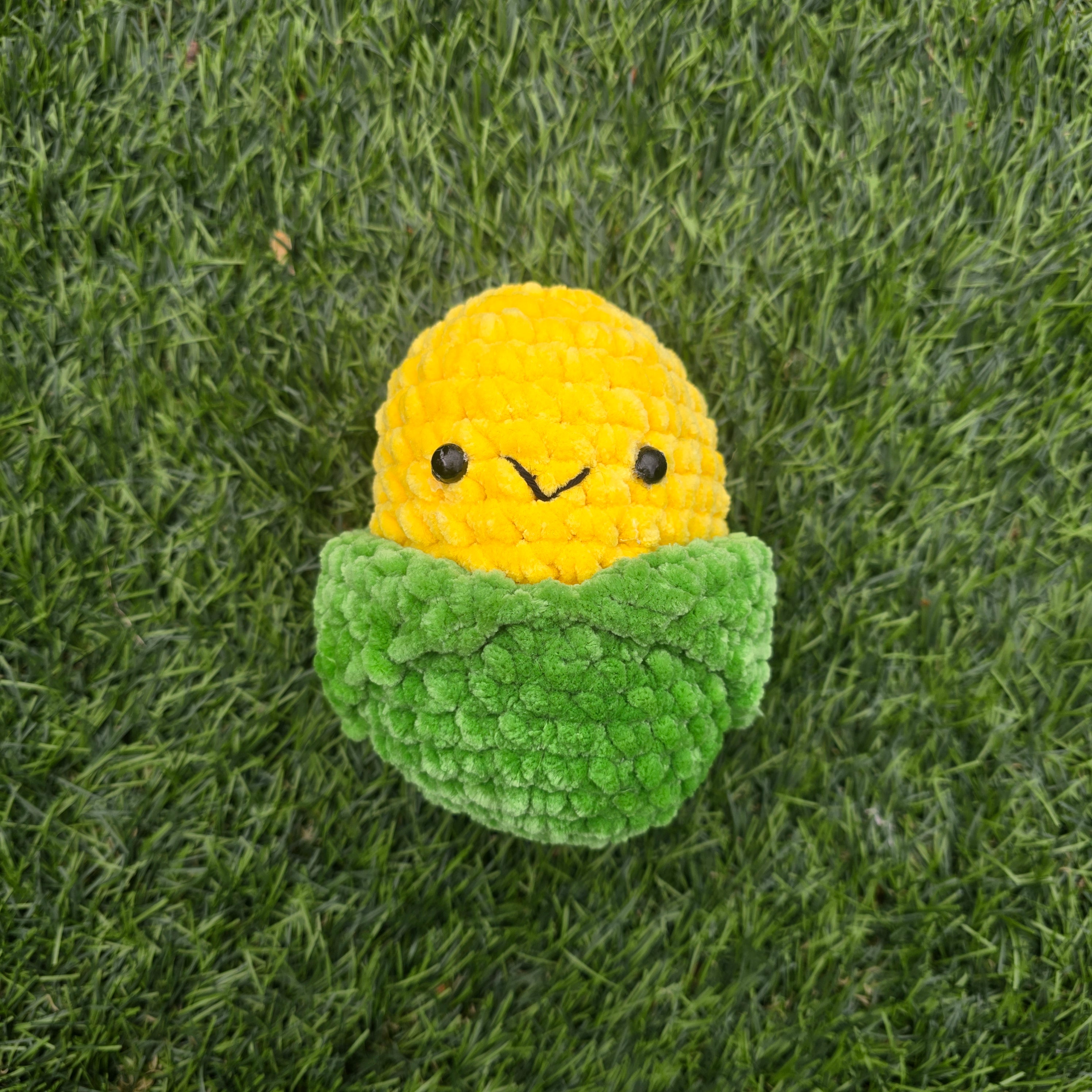 Sweetcorn